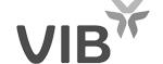 enviecasa_vib_logo_01