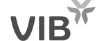 enviecasa_vib_logo_01