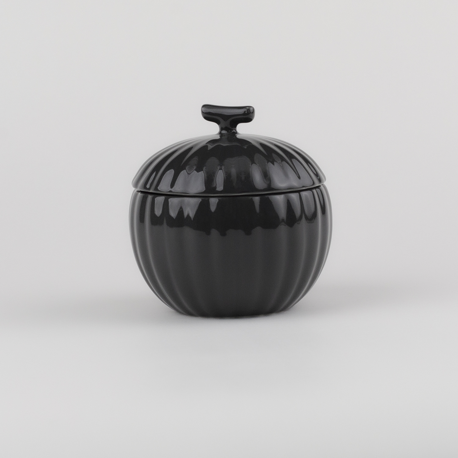 PUMPKIN CANISTER – CA2 Series