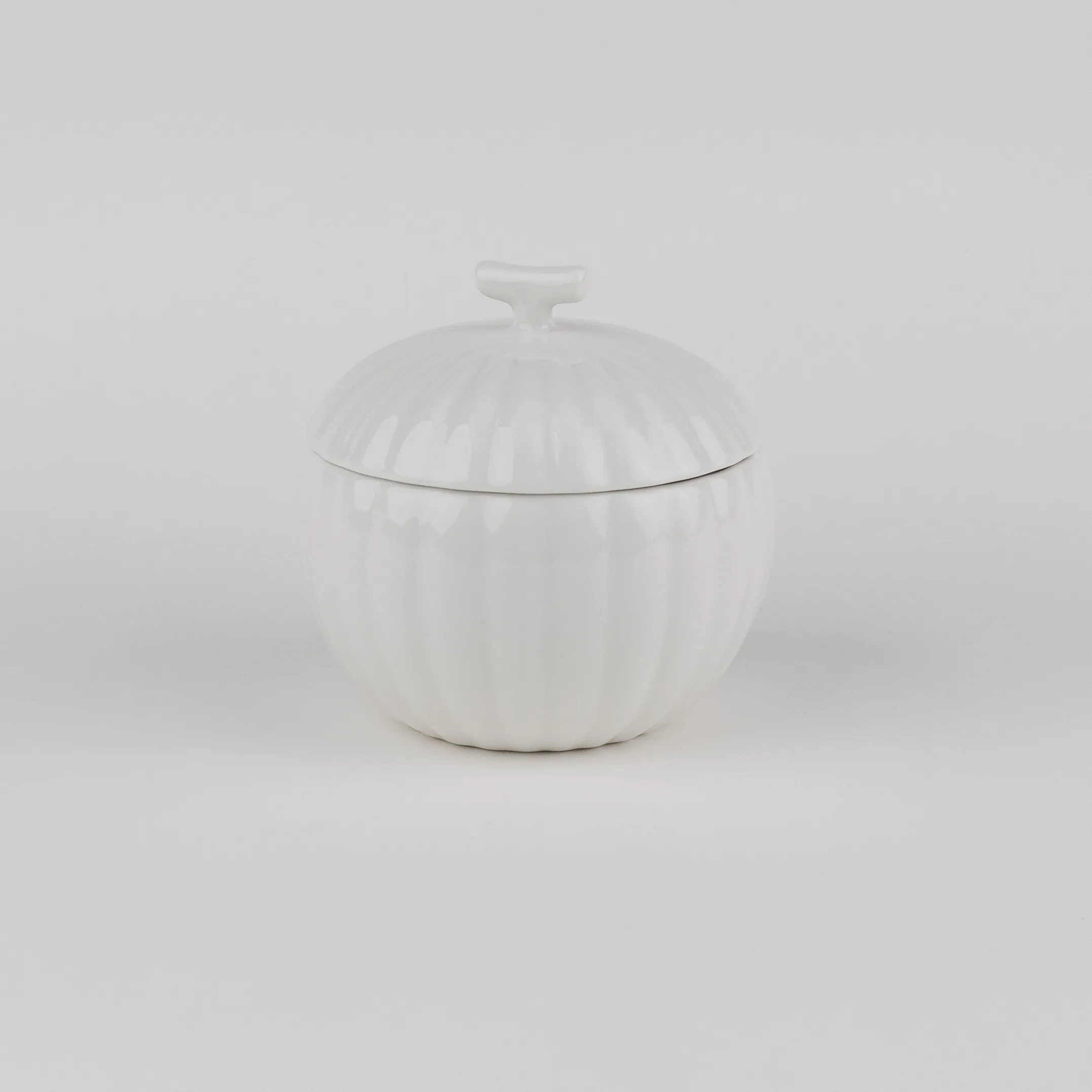 PUMPKIN CANISTER – CA2 Series