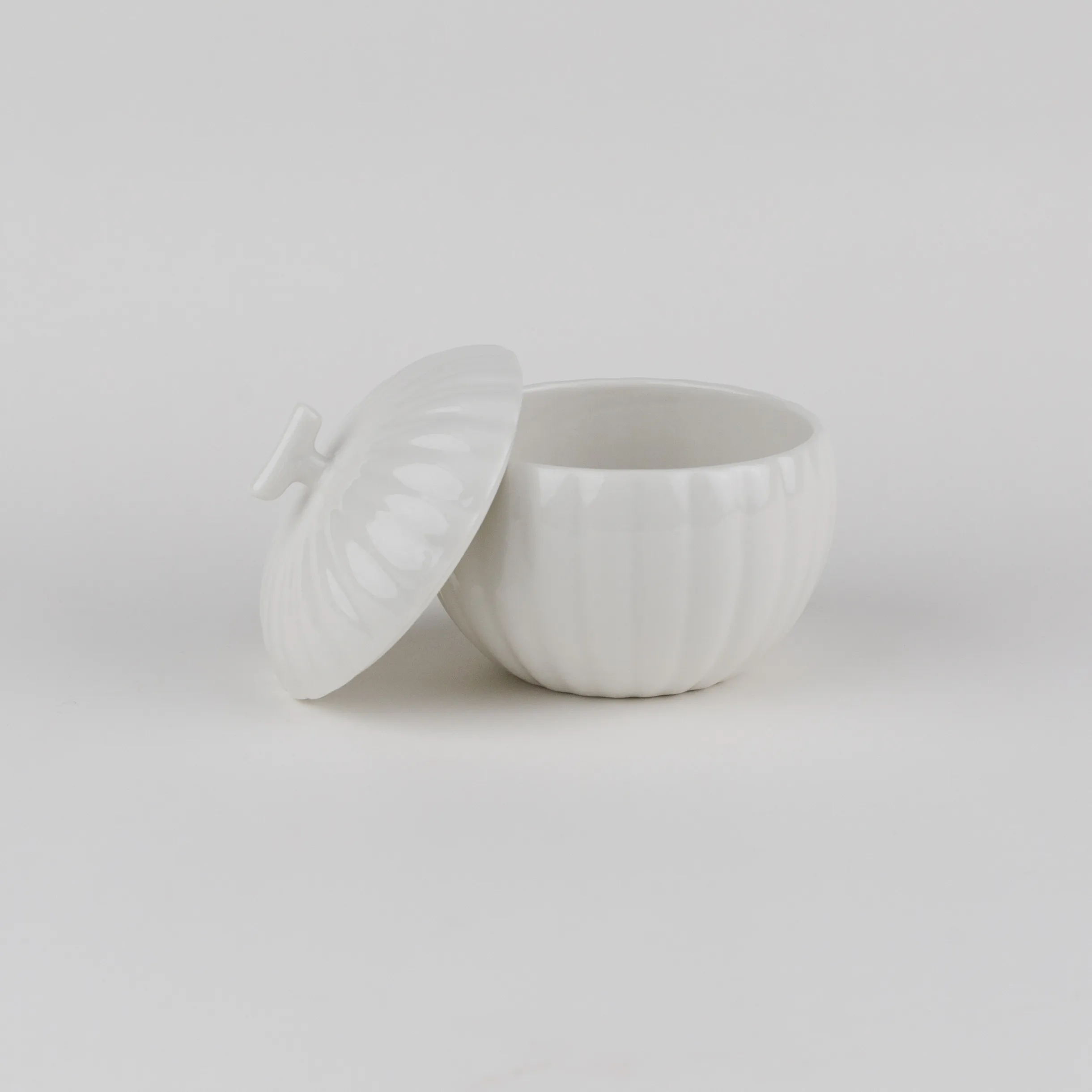 PUMPKIN CANISTER – CA2 Series