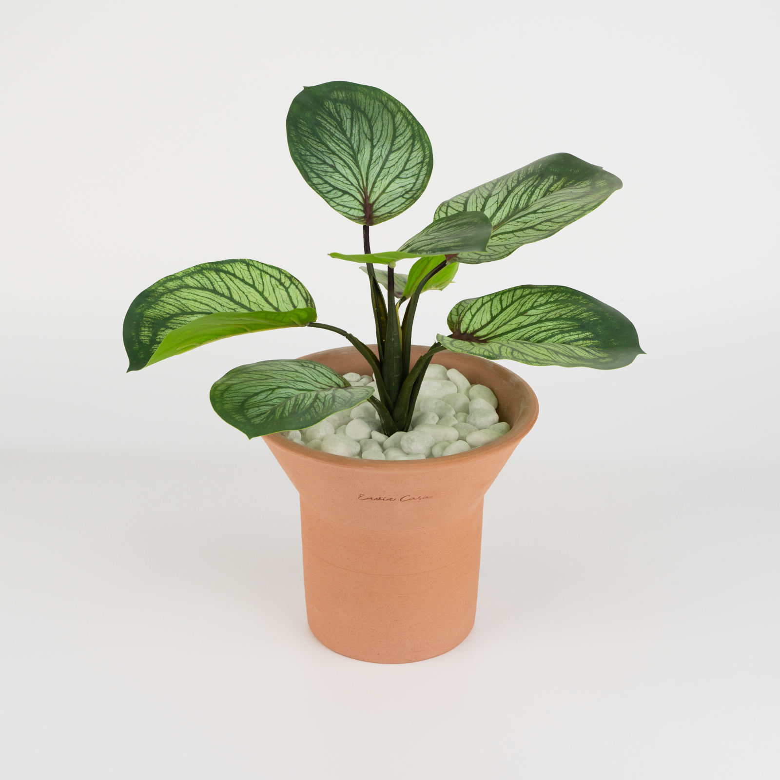 Bochina Terracotta flower pot