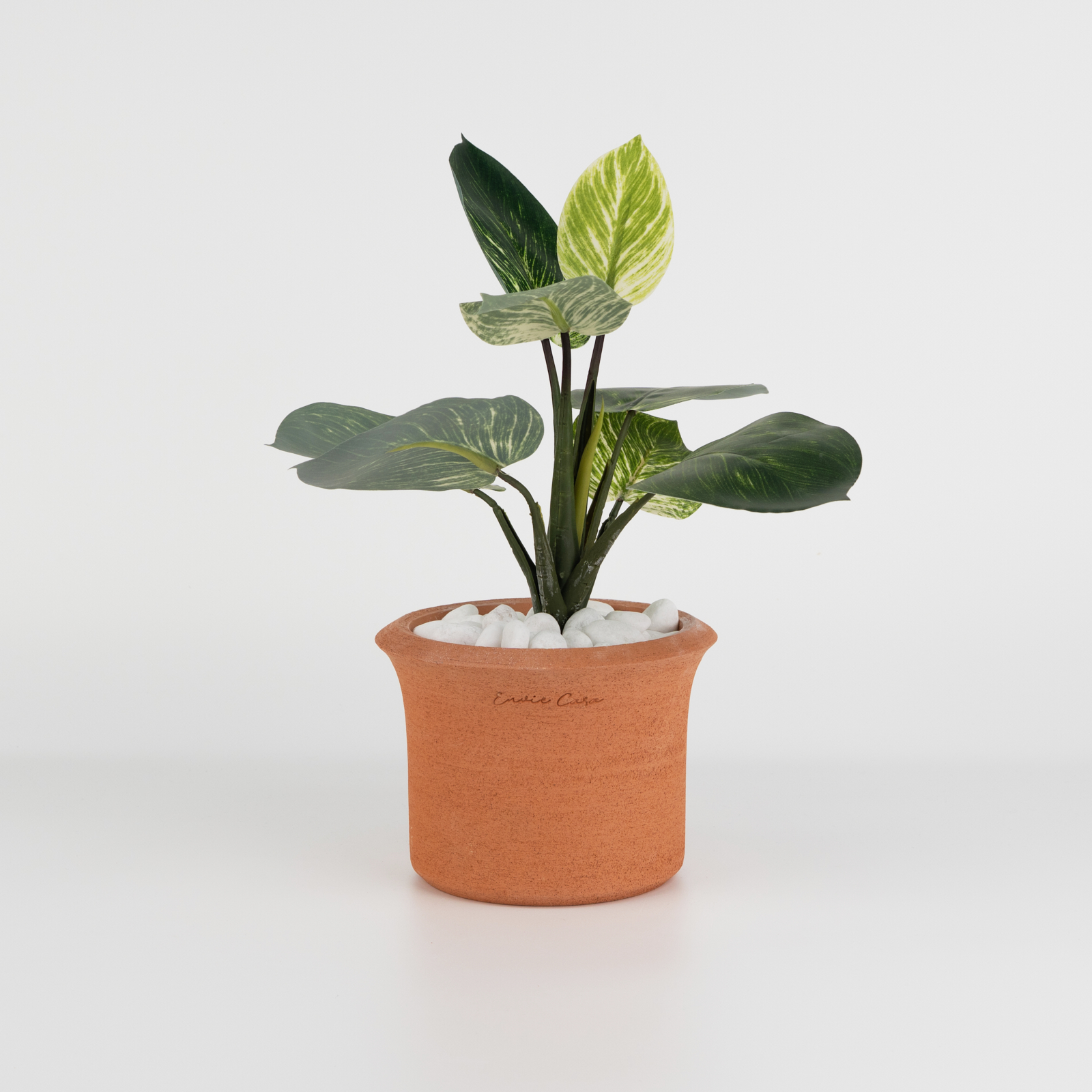 HM.CRV-Terracotta flower pot